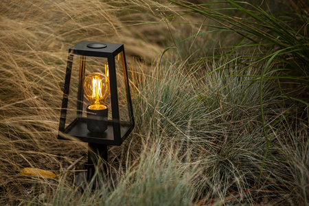 Lampa zewnętrzna Lutec FIA 7290901012 czarny