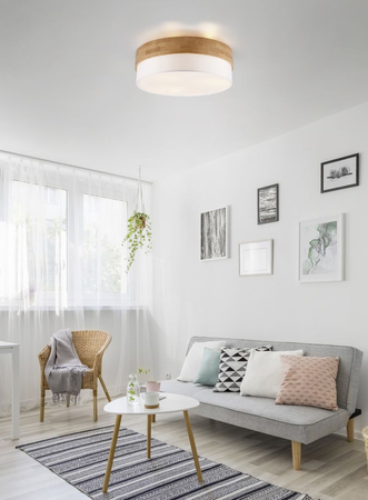 Lampa sufitowa Trio 611500301 srebrny