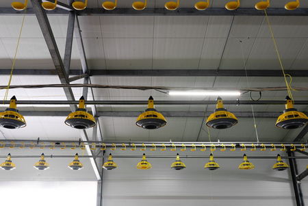 Lampa Greenie GrowBooster 1200mm 2x20W FullSpectrum+Blue do hodowli brojlerów