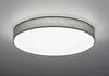 Lampa sufitowa Trio 621915511 szary