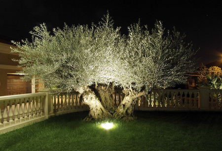 Oprawa wpuszczana Ares 073513 Petra