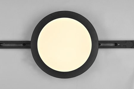 Lampa sufitowa Trio 76921532 czarny