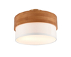 Lampa sufitowa Trio 611500201 srebrny