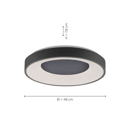 Plafon Paul Neuhaus ANIKA 14326-18 szary