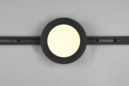 Lampa sufitowa Trio 76921032 czarny