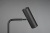 Lampa podłogowa Trio 412400132 czarny