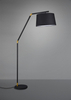 Lampa podłogowa Trio 462100132 czarny