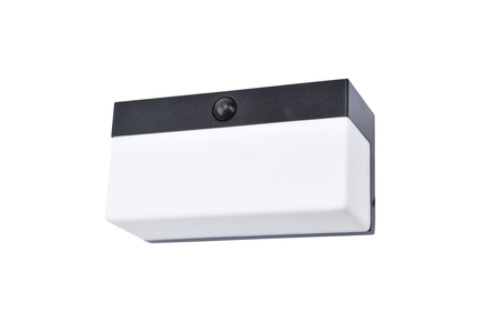 Kinkiet zewnętrzny Lutec FRAN 6941502330 czarny