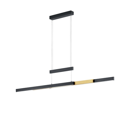 Lampa wisząca Trio 375310502 czarny