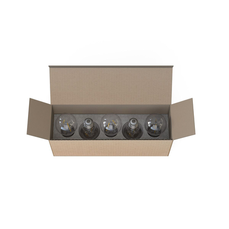 Żarówka BULB LED E27, A60 2W, 5 PC SET Nowodvorski 7487 