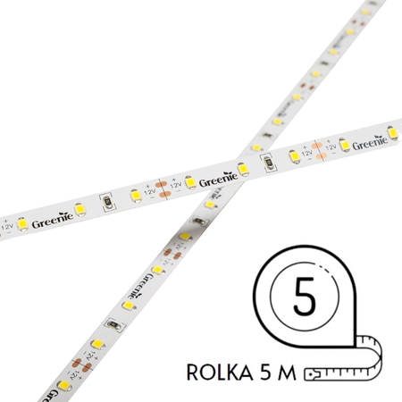Taśma LED Greenie 12V 6W/m IP65 CW Rolka 5m