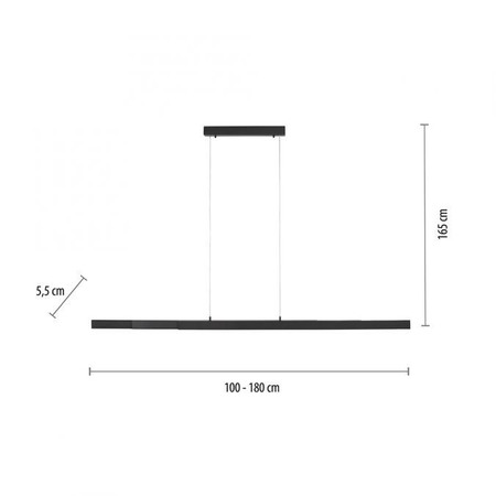 Lampa wisząca Paul Neuhaus LUZI 11660-13 grafitowy